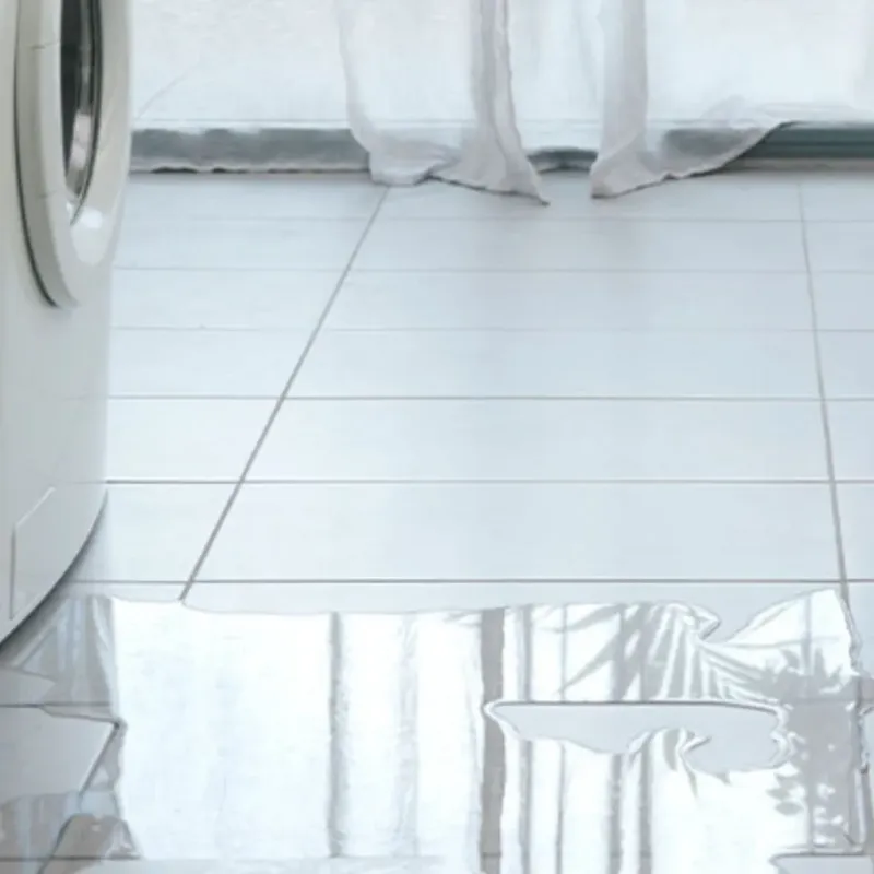 Appliance Leak Cleanup in Mundelein, IL