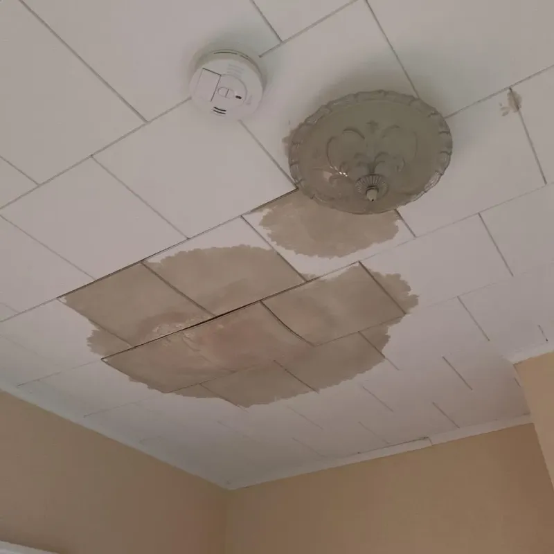 Ceiling Water Damage Repair in Mundelein, IL