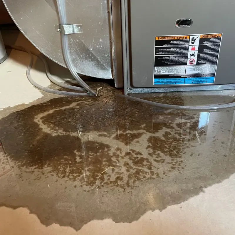 Pipe Burst and Leak Restoration in Mundelein, IL